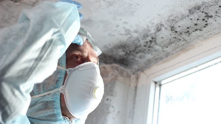 Best Mold Remediation for Healthcare Facilities  in Galax, VA